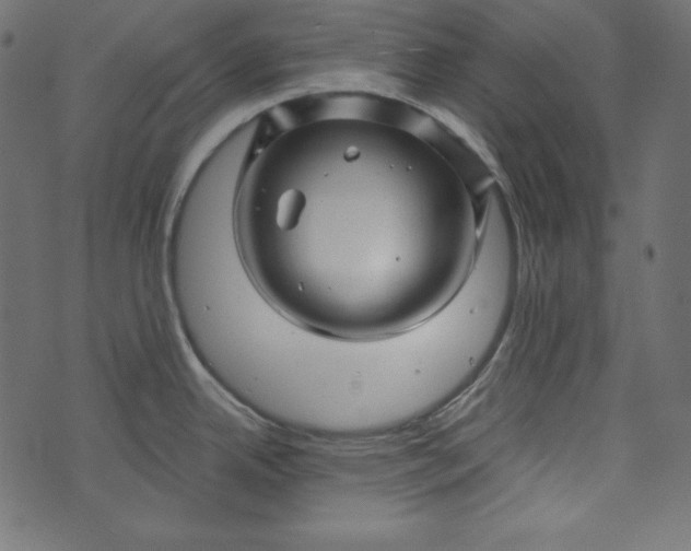 X0000073741342200608171256