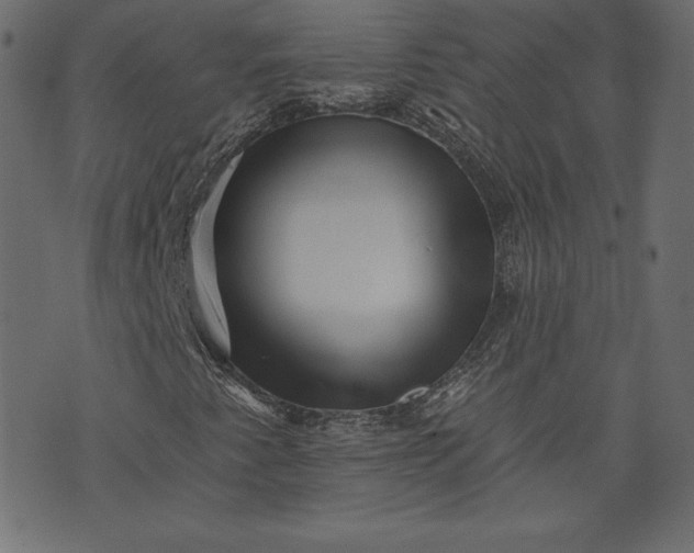 X0000073741345200608171256