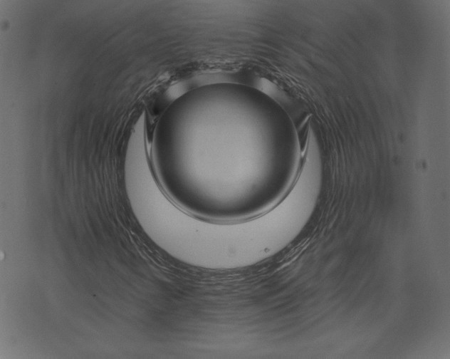 X0000073741346200608171256