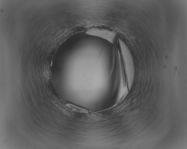 X0000073741348200608171256