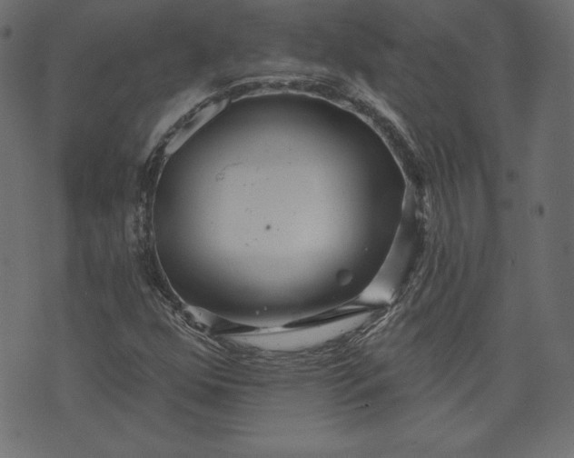 X0000073741352200608171255