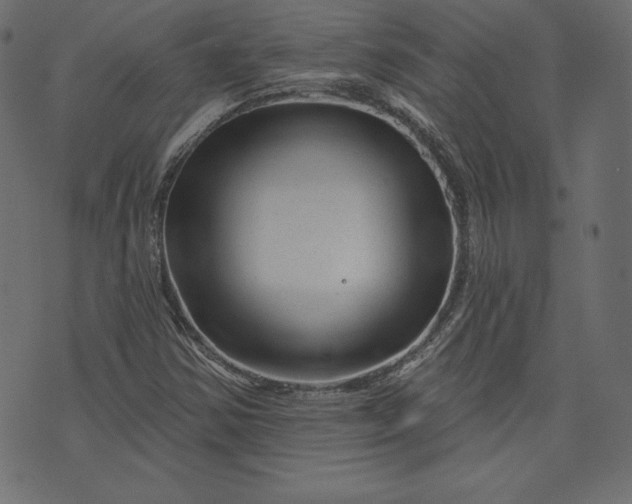X0000073741354200608171255