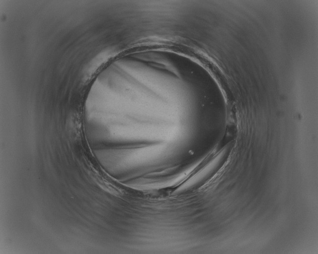 X0000073741355200608171255