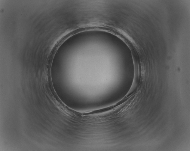X0000073741356200608171255