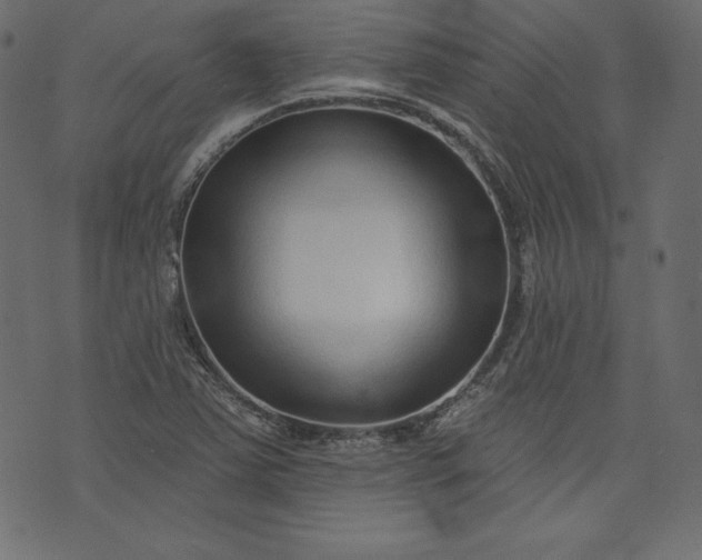 X0000073741363200608171255