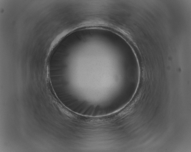 X0000073741366200608171255