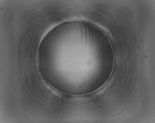 X0000073741374200608171255