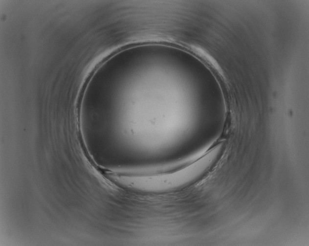 X0000073741380200608171255