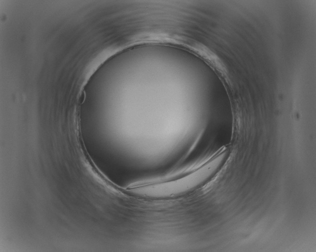X0000073741382200608171255