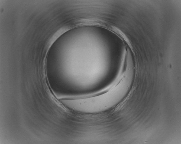 X0000073741386200608171255