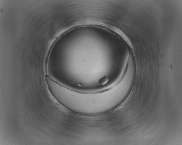 X0000073741388200608171255