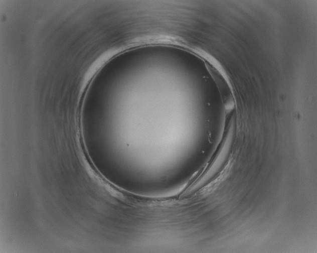 X0000073741389200608171255