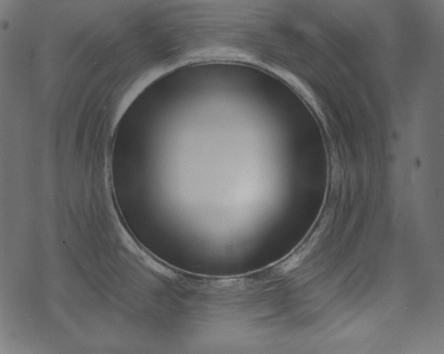 X0000073741390200608171255