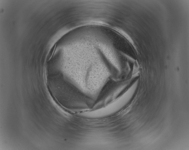 X0000073741391200608171255