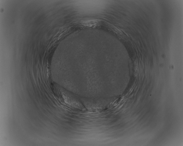X0000073741394200608171254