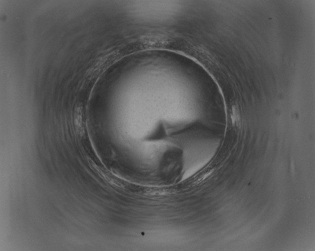 X0000073741396200608171254