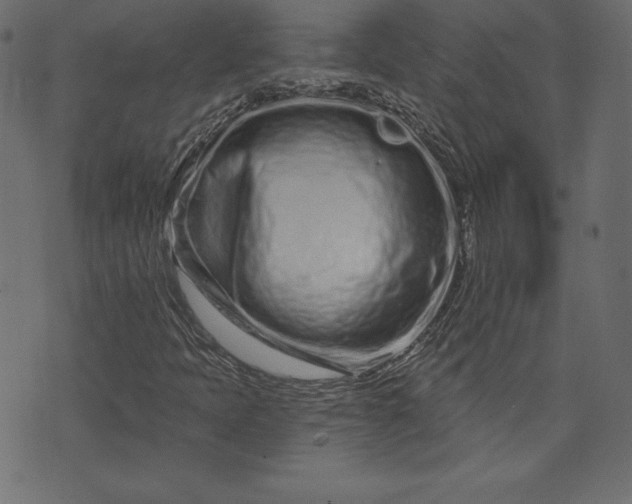X0000073741397200608171254