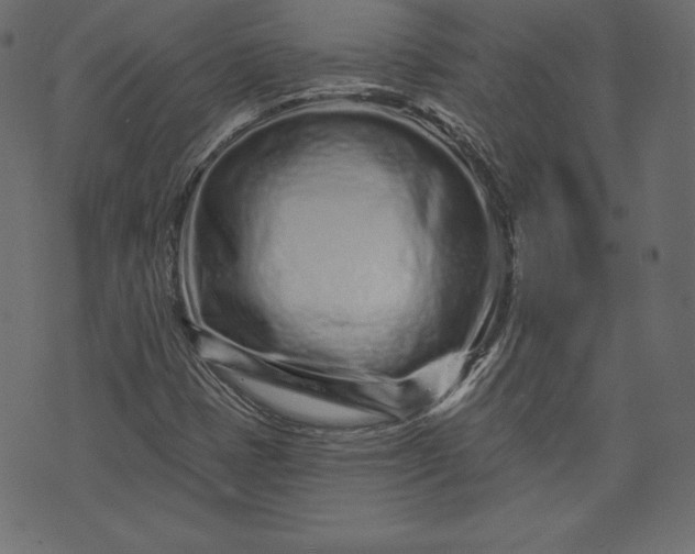 X0000073741401200608171254