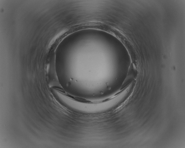 X0000073741402200608171254