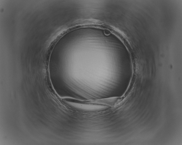 X0000073741407200608171254