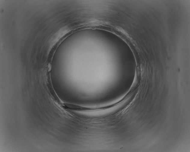X0000073741410200608171254