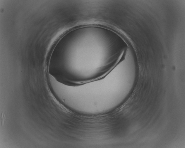 X0000073741416200608171254