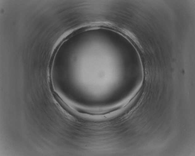 X0000073741420200608171254