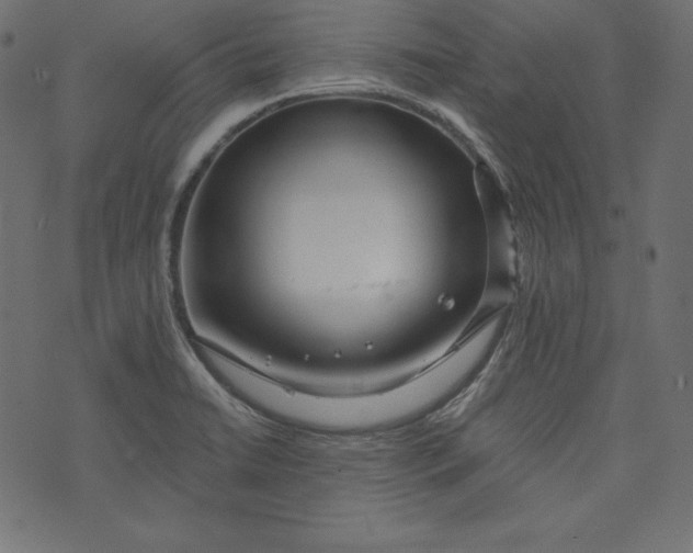 X0000073741422200608171254