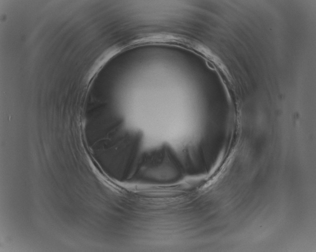 X0000073741425200608171255