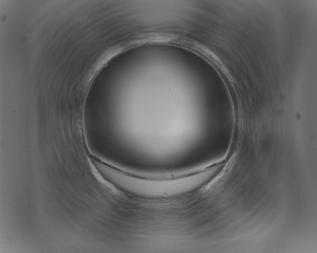 X0000073741433200608171255