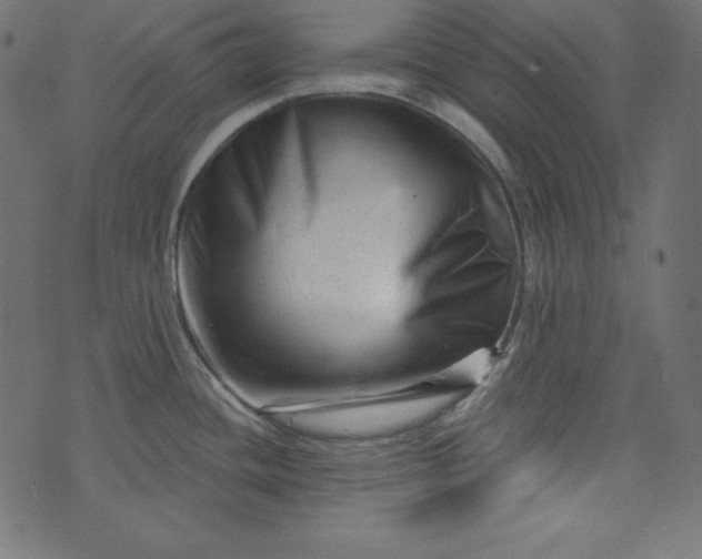 X0000073741436200608171255