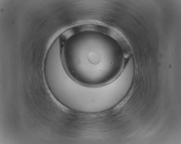 X0000073741438200608171255