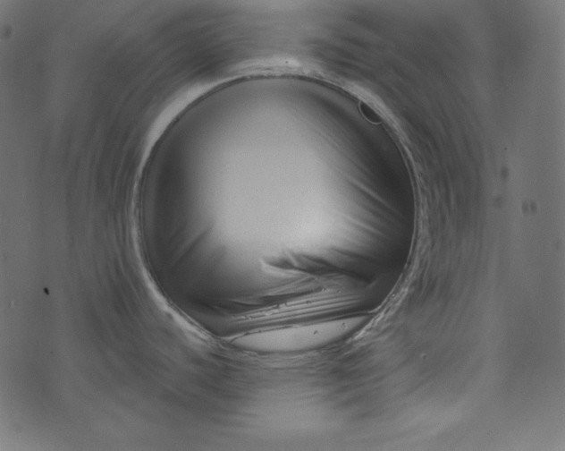 X0000073741440200608171255