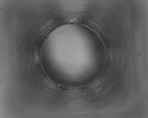X0000073741442200608171254