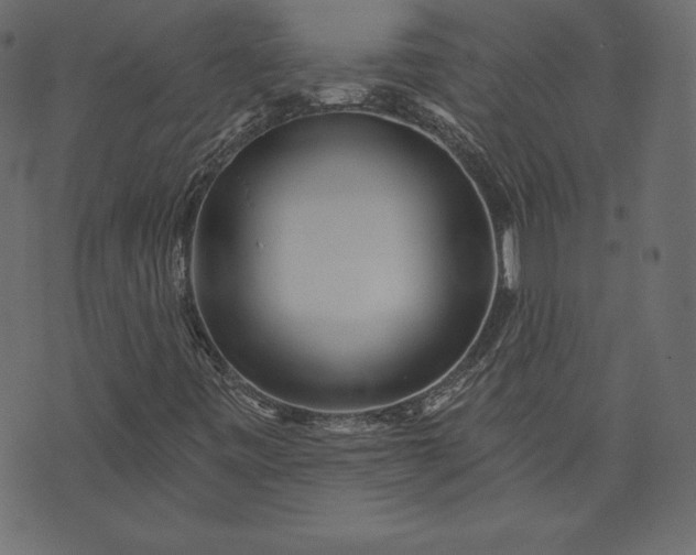 X0000073741443200608171254