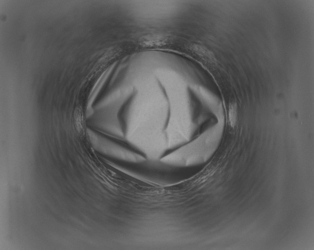 X0000073741444200608171254