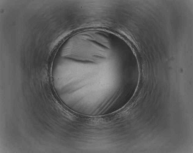 X0000073741452200608171254