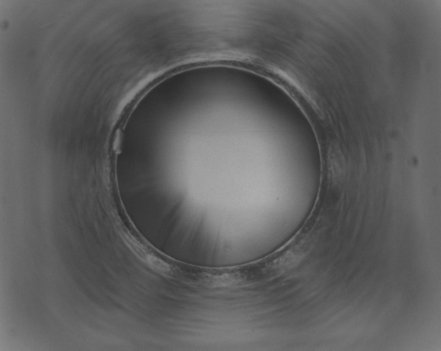 X0000073741460200608171254