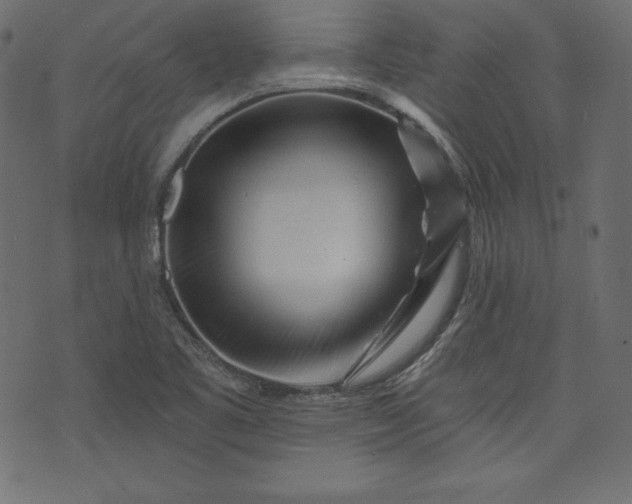 X0000073741461200608171254