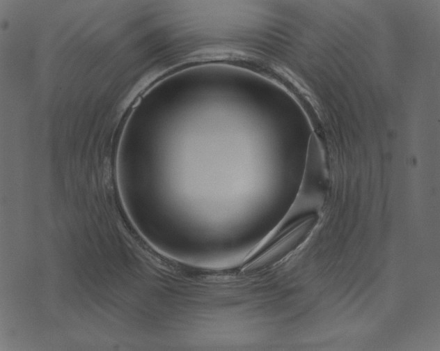 X0000073741465200608171254