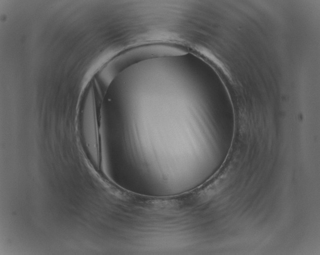 X0000073741469200608171254