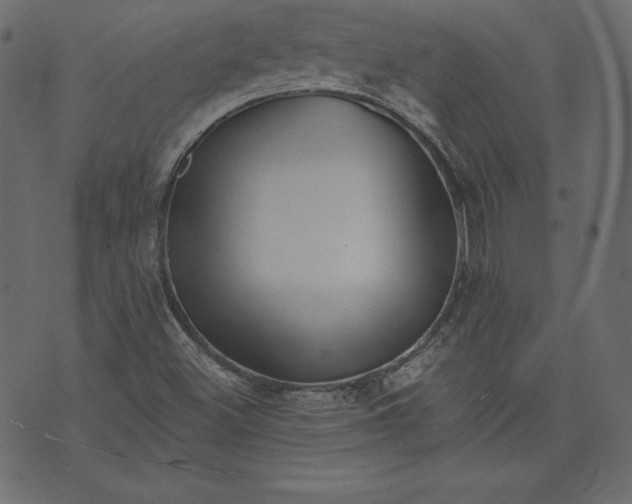 X0000073741500200608171253