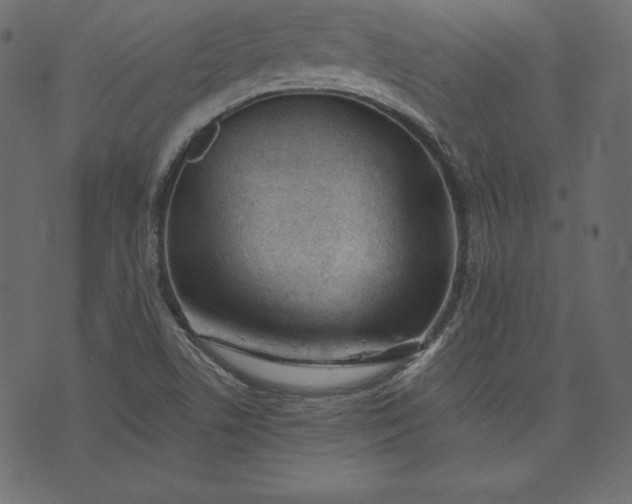 X0000073741506200608171253