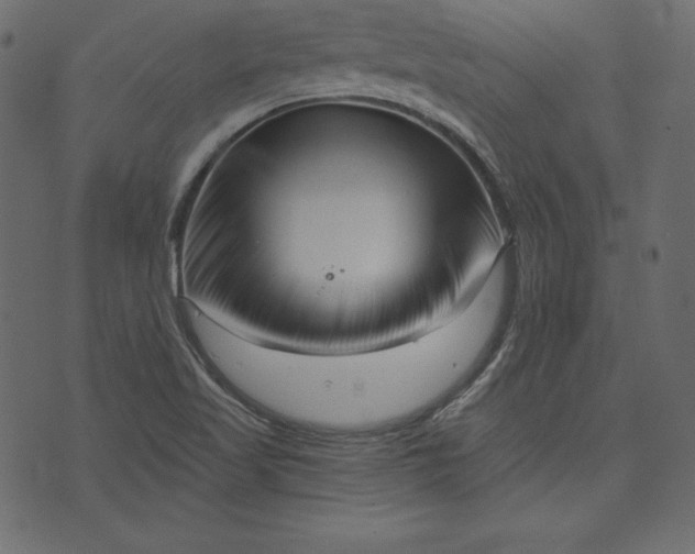 X0000073741509200608171253