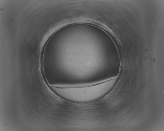X0000073741512200608171253