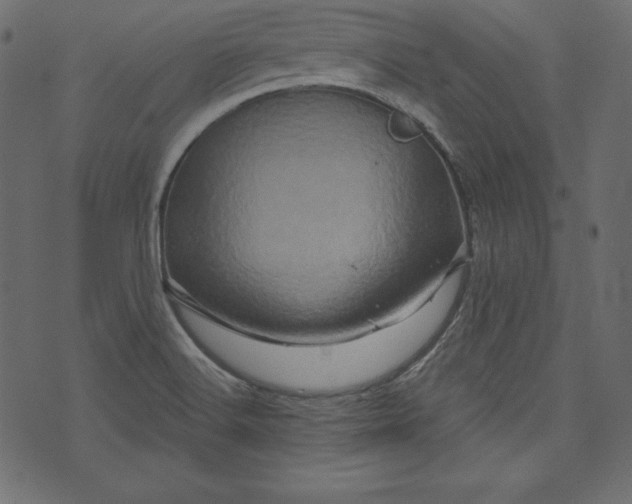 X0000073741516200608171253