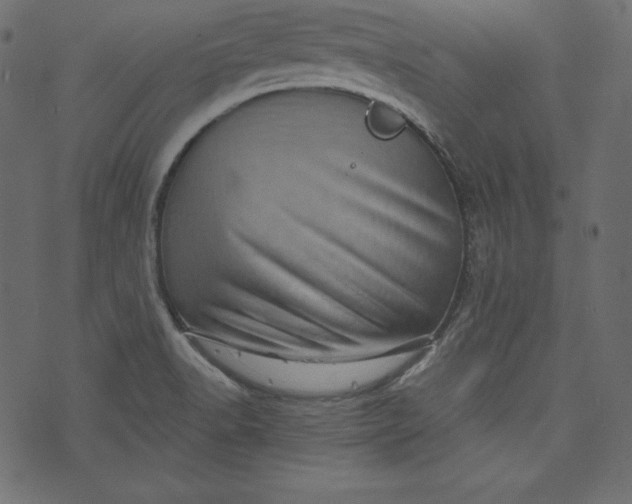 X0000073741518200608171253