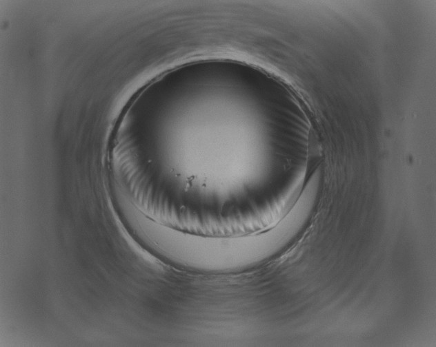 X0000073741519200608171253