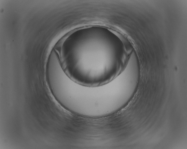 X0000073741520200608171253