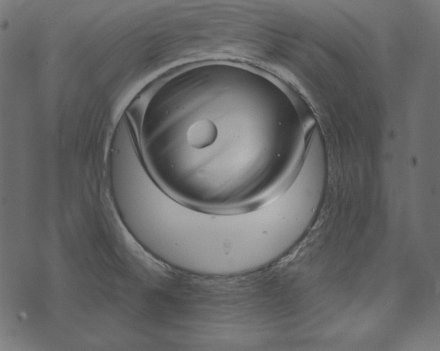 X0000073741524200608171253